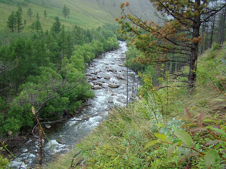 Original image